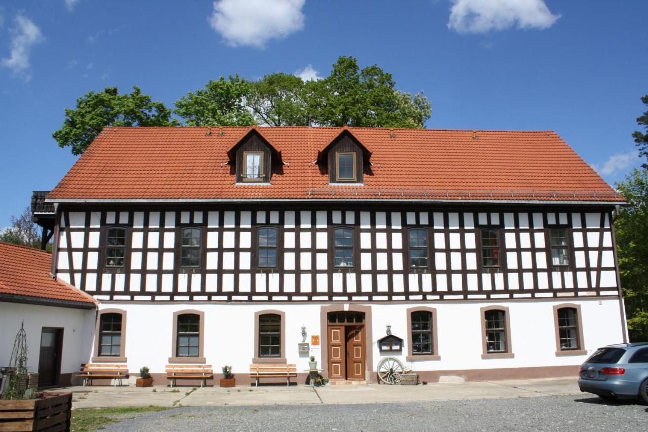 Zu Den Grauen Ziegenboecken Apartment Serba Exterior foto